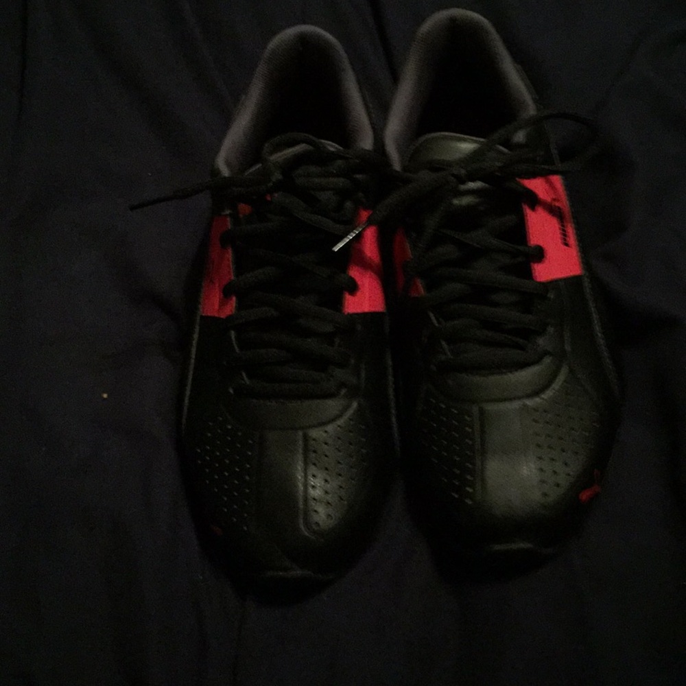 Puma - Picture 2 of 4